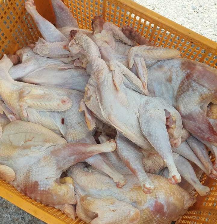 إتلاف 4 أطنان دجاج فاسد بالزرقاء كانت في طريقها للمستهلك