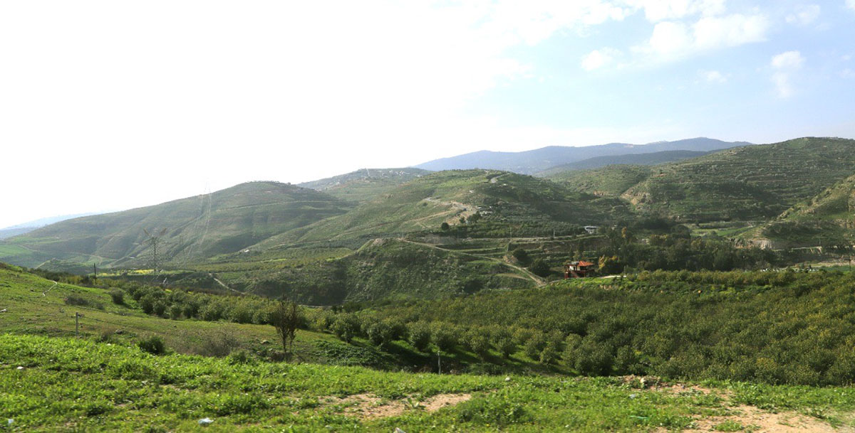 الثلاثاء  ..  طقس ربيعي دافئ وارتفاع ملموس على درجات الحرارة