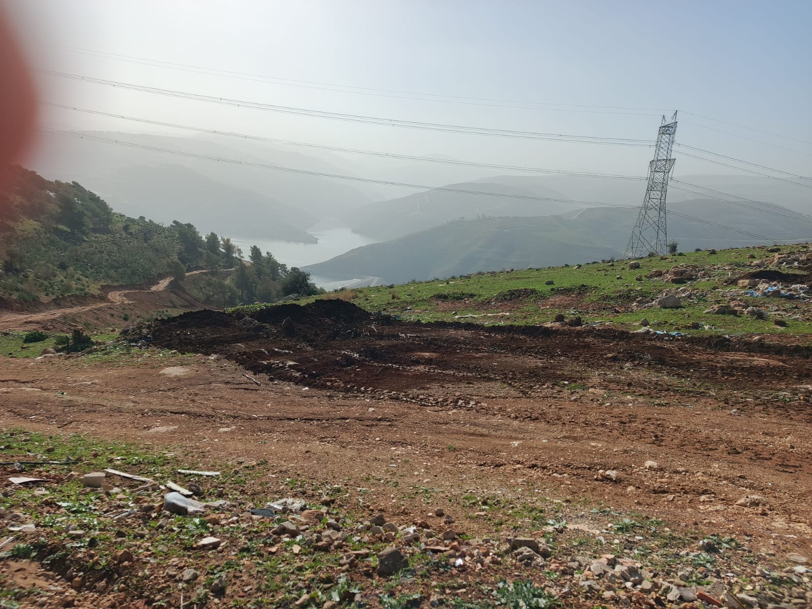 تنظيف الغابات المطلة على سد الملك طلال وإزالة الاعتداءات