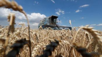 اليونيسف: تغير المناخ وكورونا والأزمة الأوكرانية مخاطر تهدد الأمن الغذائي العالمي