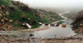 مواطنون يطالبون بتوفير شبكة لتصريف مياه الأمطار في الشونة الشمالية