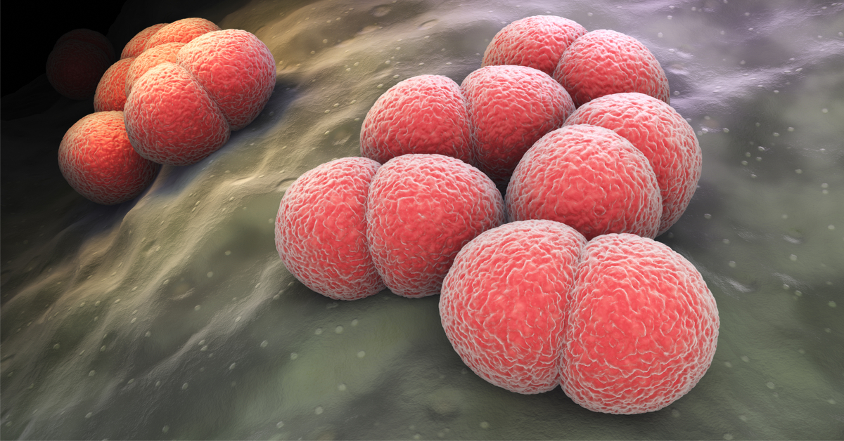 آثار التهاب السحايا البكتيري لا تنتهي بالشفاء