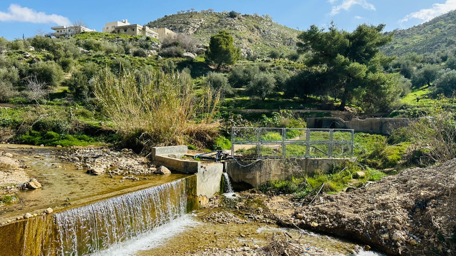 عِراق الأمير… حيث تمتزج الطبيعة الخلّابة بالينابيع والآثار