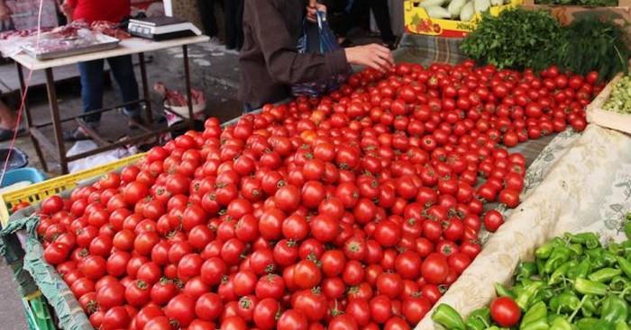 الإحصاءات: ارتفاع أسعار البندورة والملوخية والفلفل 37.1% 