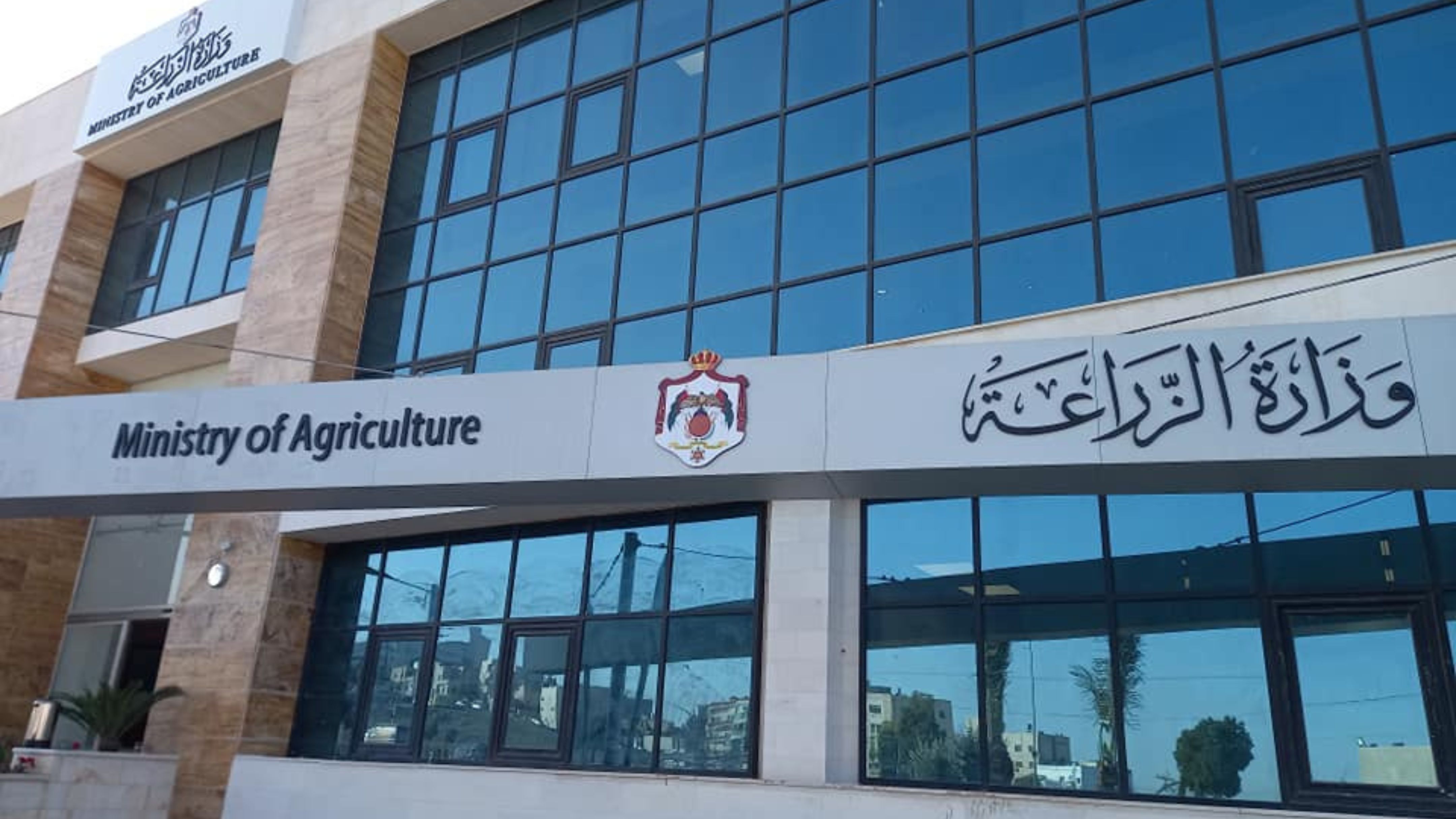 زراعة الأغوار الشمالية تدعو للإبلاغ عن حوادث سقوط أشجار 