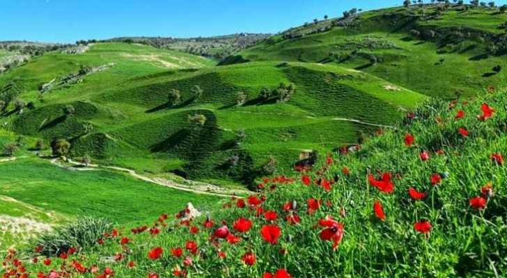 فصل الربيع في الأردن ..  اعتدال غائب وتقلبات حاضرة