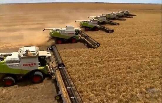 الصين تطرح سياسات جديدة لدعم إنتاج الحبوب