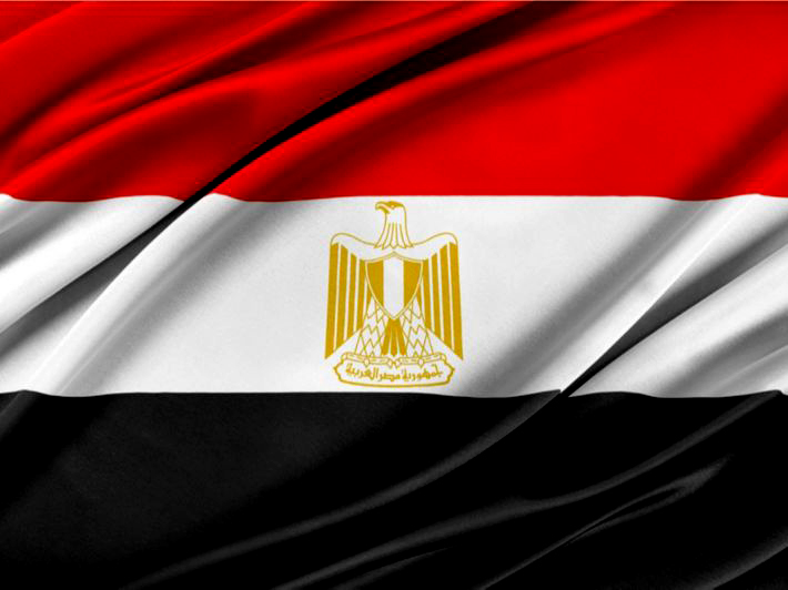مصر تؤكد التزامها بسرعة إنفاذ المساعدات لإغاثة أهالي غزة