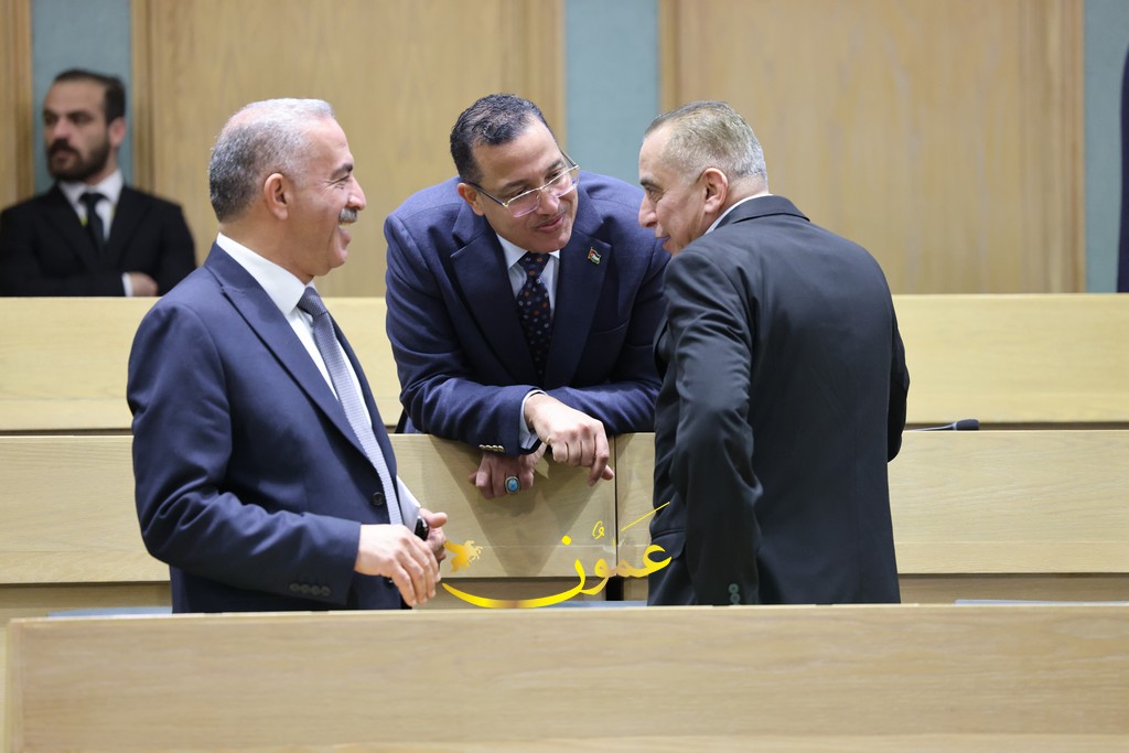 النواب يواصل مناقشة مشروع قانون عقود التأمين ..  صور