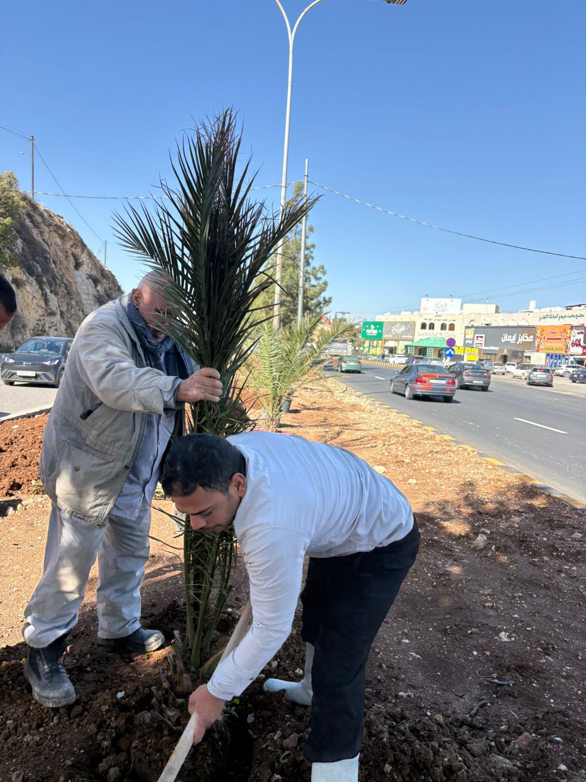 مبادرة شباب عشيرة العوايشة لزراعة الجزيرة الوسطية لطريق السلط