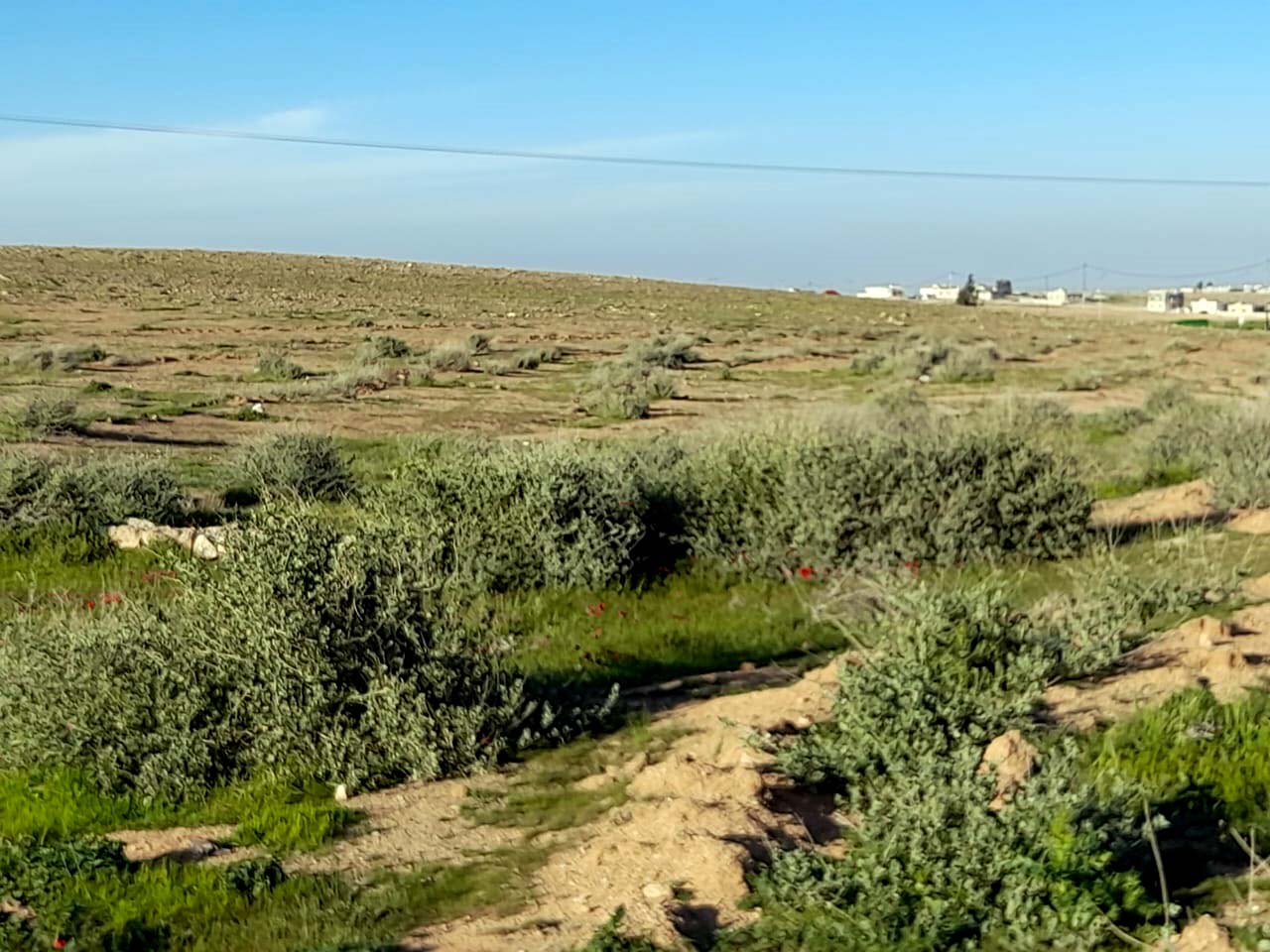 الموسم المطري الغزير يحوّل محمية صرة لمقصد طبيعي وعلاجي 