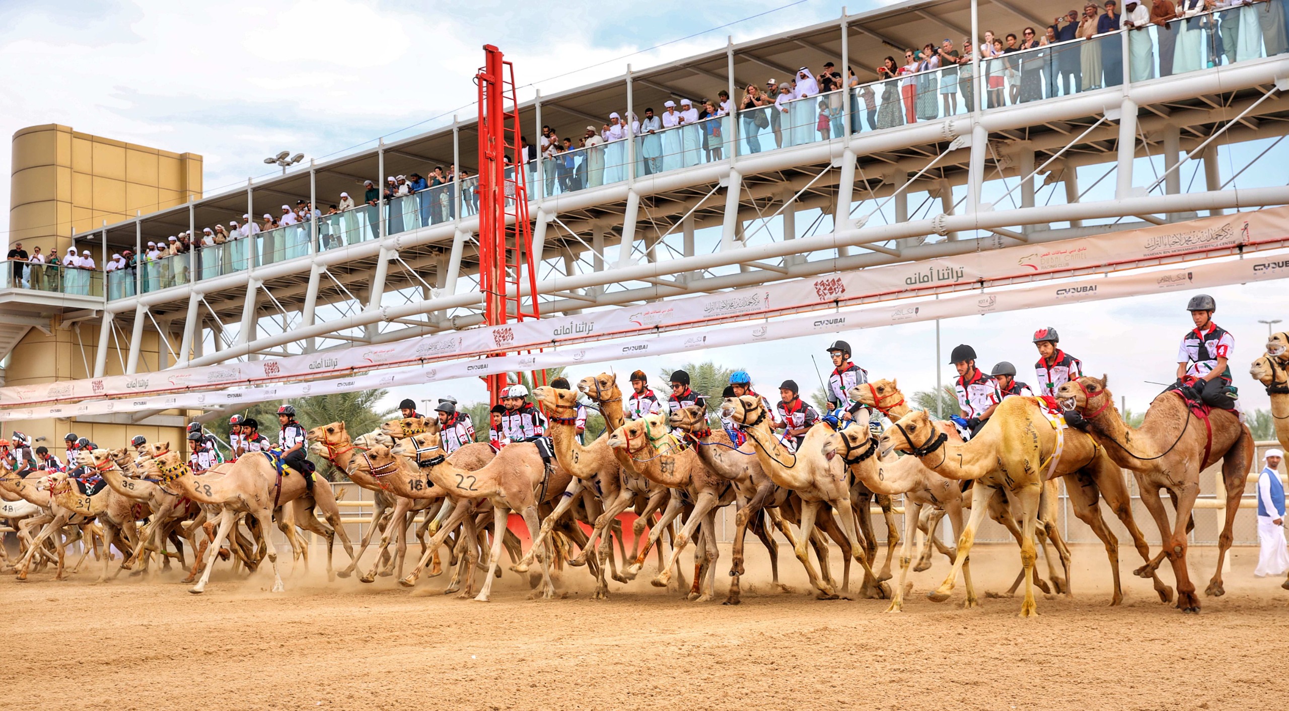 دبي ..  ختام مميز لماراثون اليوم الوطني للهجن 