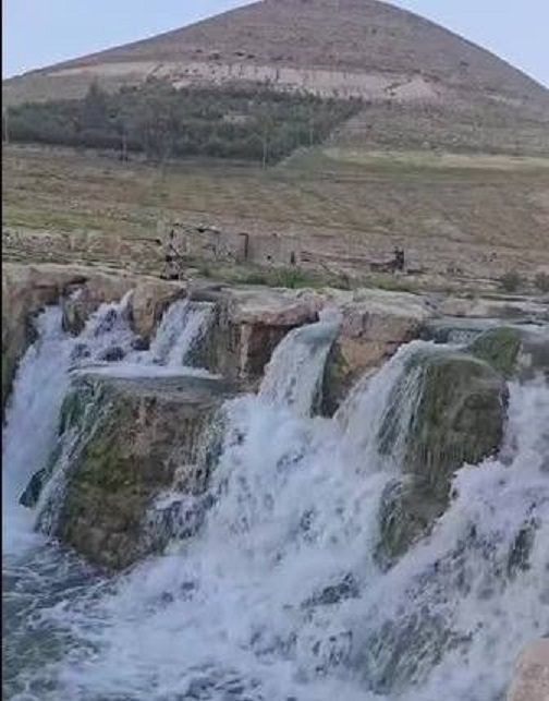 عين التيس ..  نبع يروي ذاكرة عجلون وحكايات المكان