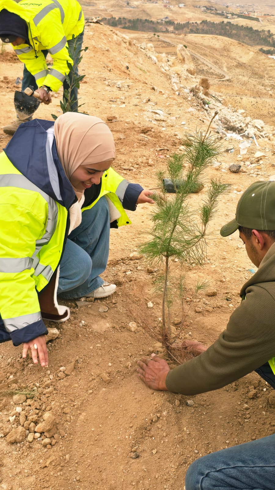 زراعة 3000 شجرة في الطفيلة ضمن حملة التشجير الوطني 