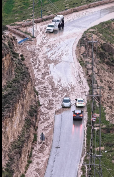 إعادة فتح طريق الشجرة المغير  واستئناف حركة المرور 