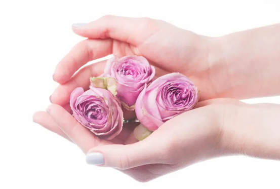 جفاف اليدين بالربيع ..  أسباب غير متوقعة وعلاجات مضمونة