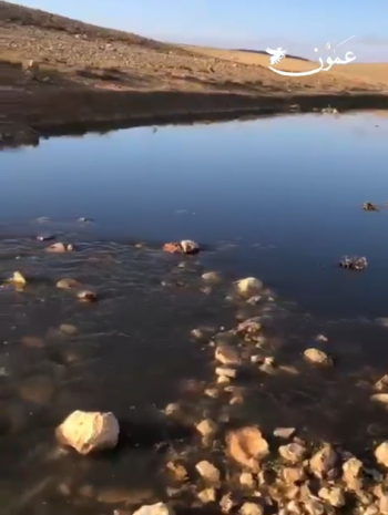 مواطنون: تسرب للمياه العادمة من محطة جنوب عمان باتجاه سد الوالة (فيديو)