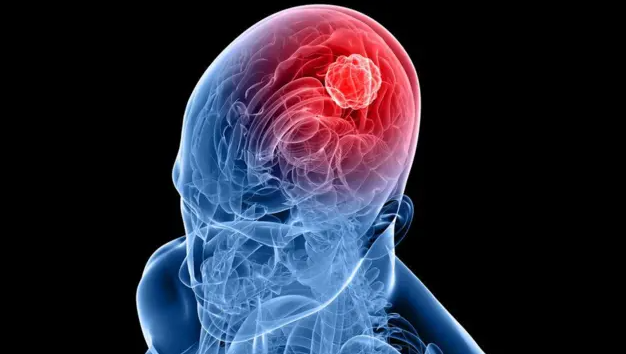 علمياً ..  الدماغ يعيد تشغيل نفسه في 4 مراحل عمرية