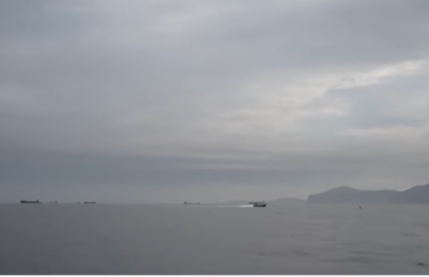 أكثر من 20 سفينة تجاربة عبرت هرمز خلال 24 ساعة 