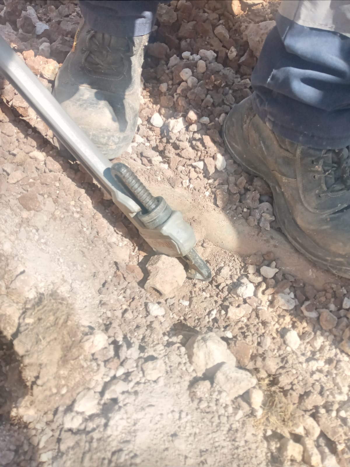 image.php?token=2b5fc5e670500546ab5ecf76012bdd6d&size=xlarge