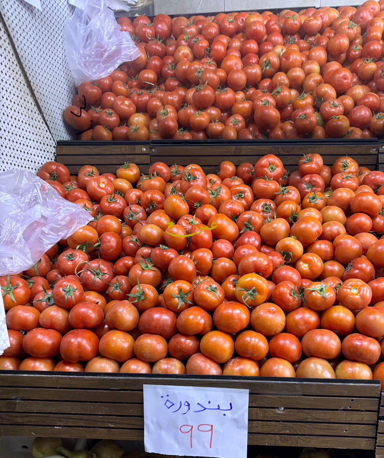 وسط استئناف تصديرها ..  البندورة بـ 99 قرشا في الأسواق