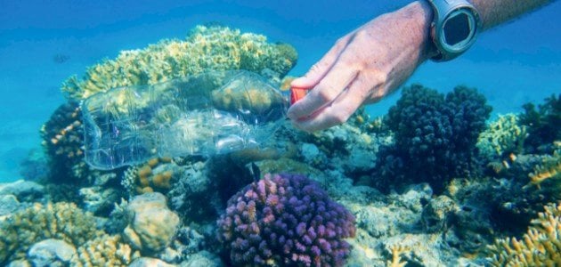 Preserving the marine environment |  Mix