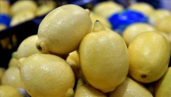 حماية المستهلك تطالب بوقف تصدير الخيار واستيراد الليمون