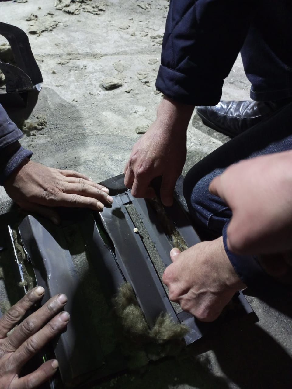 image.php?token=30f64a89bc4beb08b3123afd09354479&size=xlarge