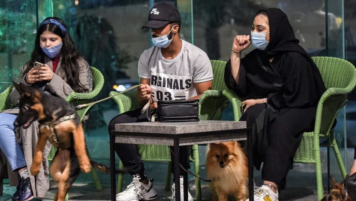 إيران تغلق مقهى الكلاب