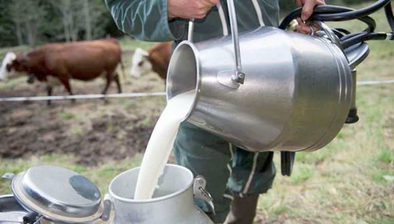 الحكومة تراجع القواعد الفنية ومواصفة مصل الحليب 