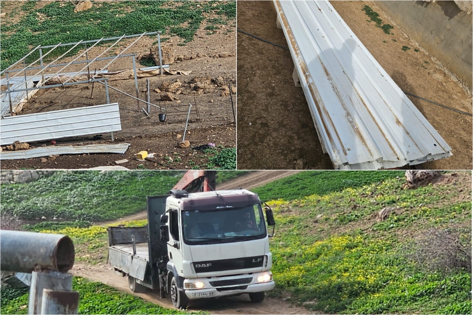 عائلات فلسطينية بالأغوار ترحل بسبب اعتداءات المستعمرين