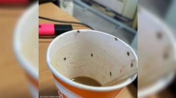 فنجان قهوة بالحشرات كاد ان يودي بحياة شابة في المطار 