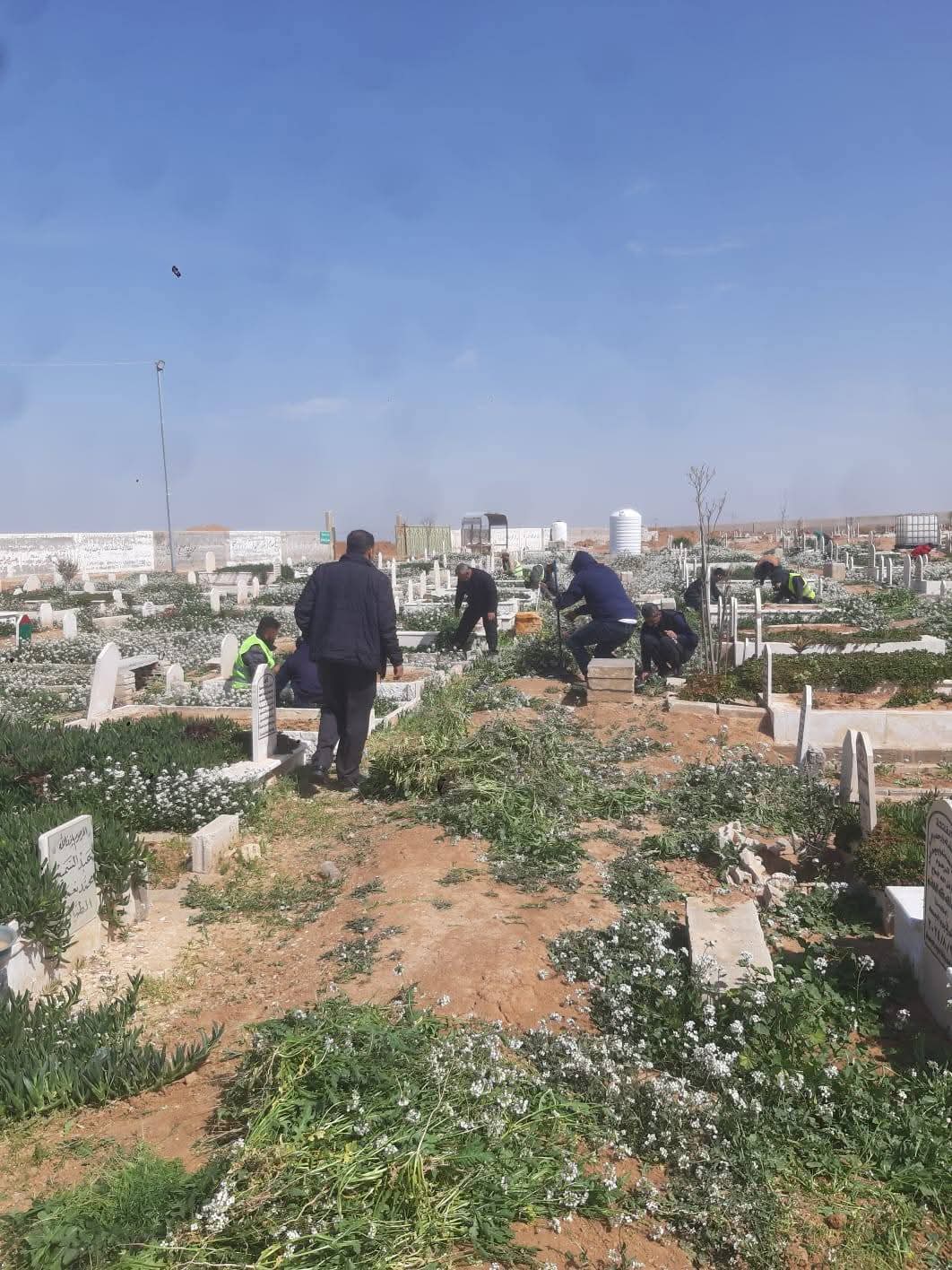 بلدية مادبا تنفذ حملة صيانة في المقابر والحدائق