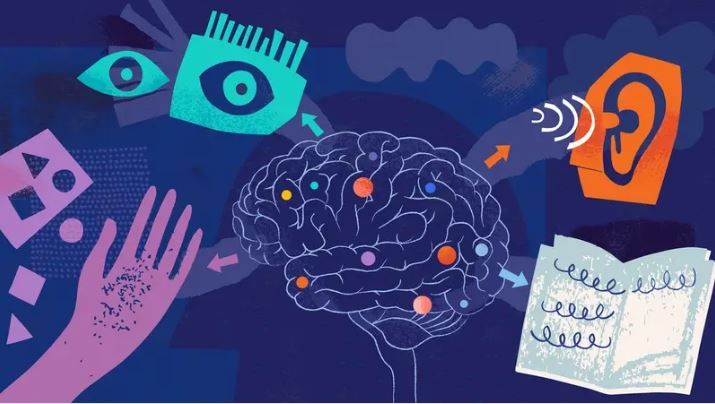 هل حواسنا فعلا 5؟ ..  العلم يتحدث الآن عن 33 في شبكات معقدة