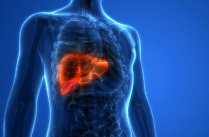 تركيبة علاجية مبتكرة لمكافحة تليّف الكبد