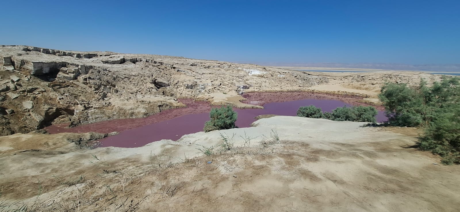 البركة الملونة ..  خطر لا يجوز أن يستمر
