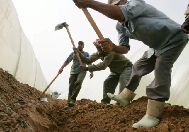 عمل الزرقاء: تسفير 663 عاملًا وافدًا في 2025 