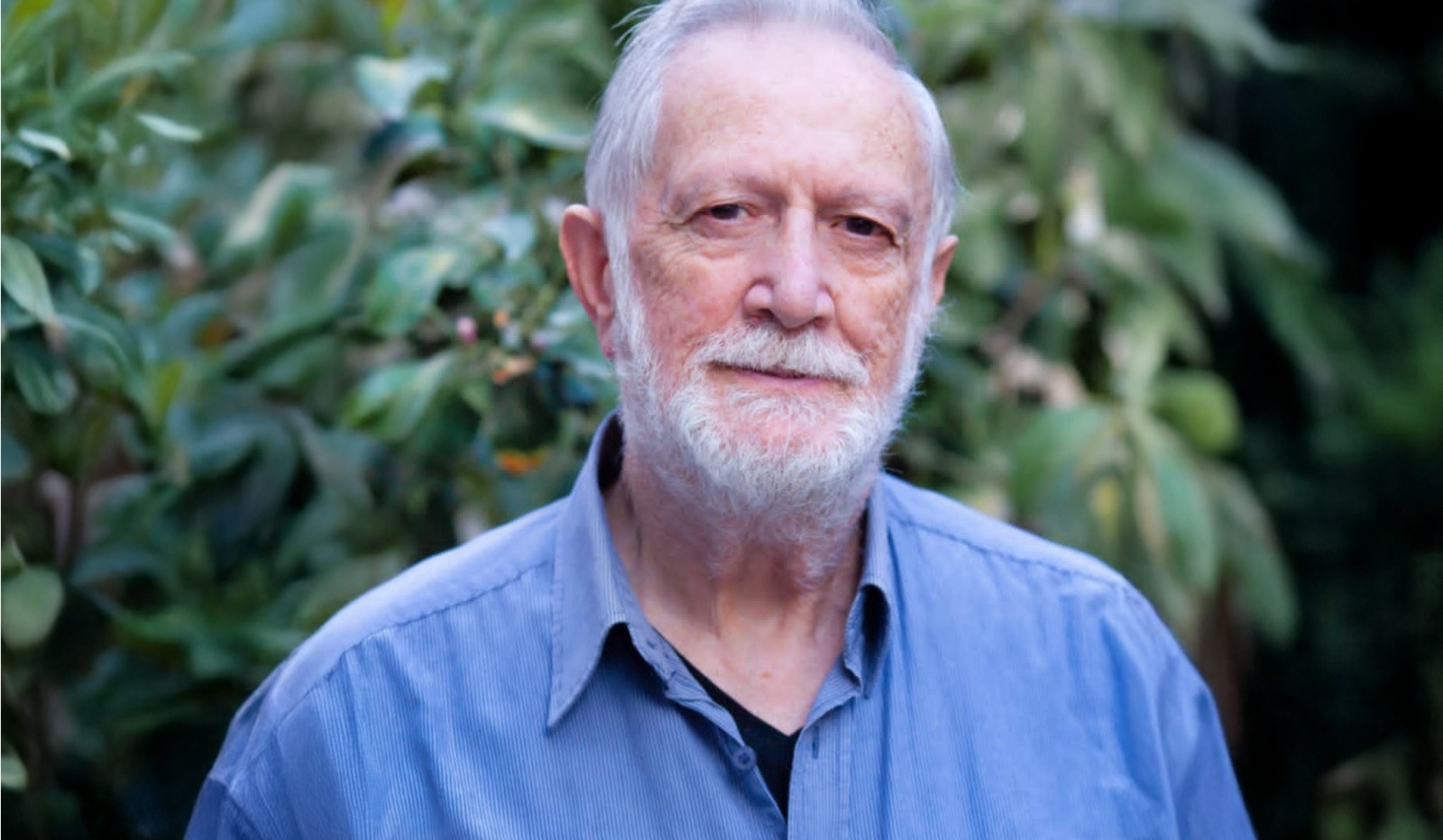 الفنان سليمان منصور يبحث في الرموز الوطنية من خلال الألوان والخطوط والنقاط 