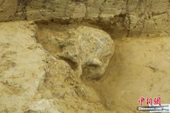 العثور على جمجمة بشرية تعود إلى ما قبل مليون سنة في الصين