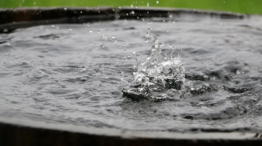 حفر 270 بئرا لتجميع مياه الأمطار في مادبا 