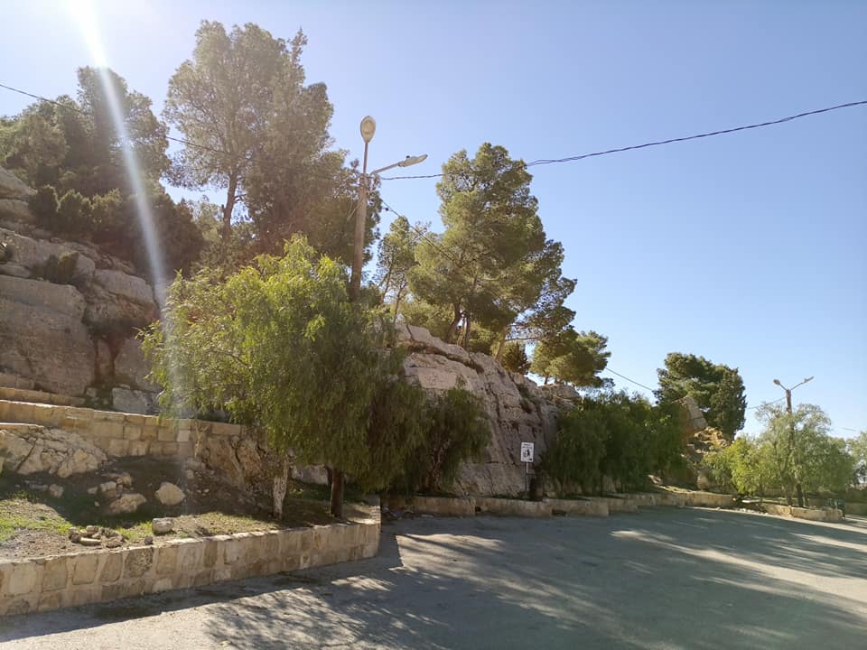 يوم طبي في مركز زوار السلع بالطفيلة الأحد | اخبار الاردن