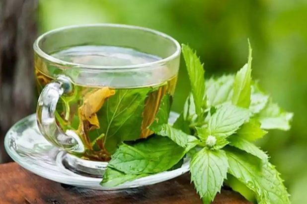 ما الفوائد الصحية لشرب النعناع يومياً؟