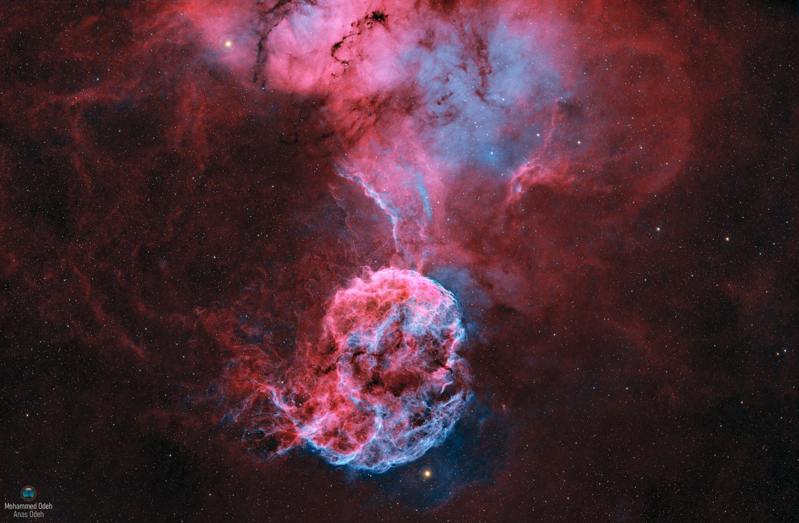 تصوير قنديل البحر في سماء أبوظبي 