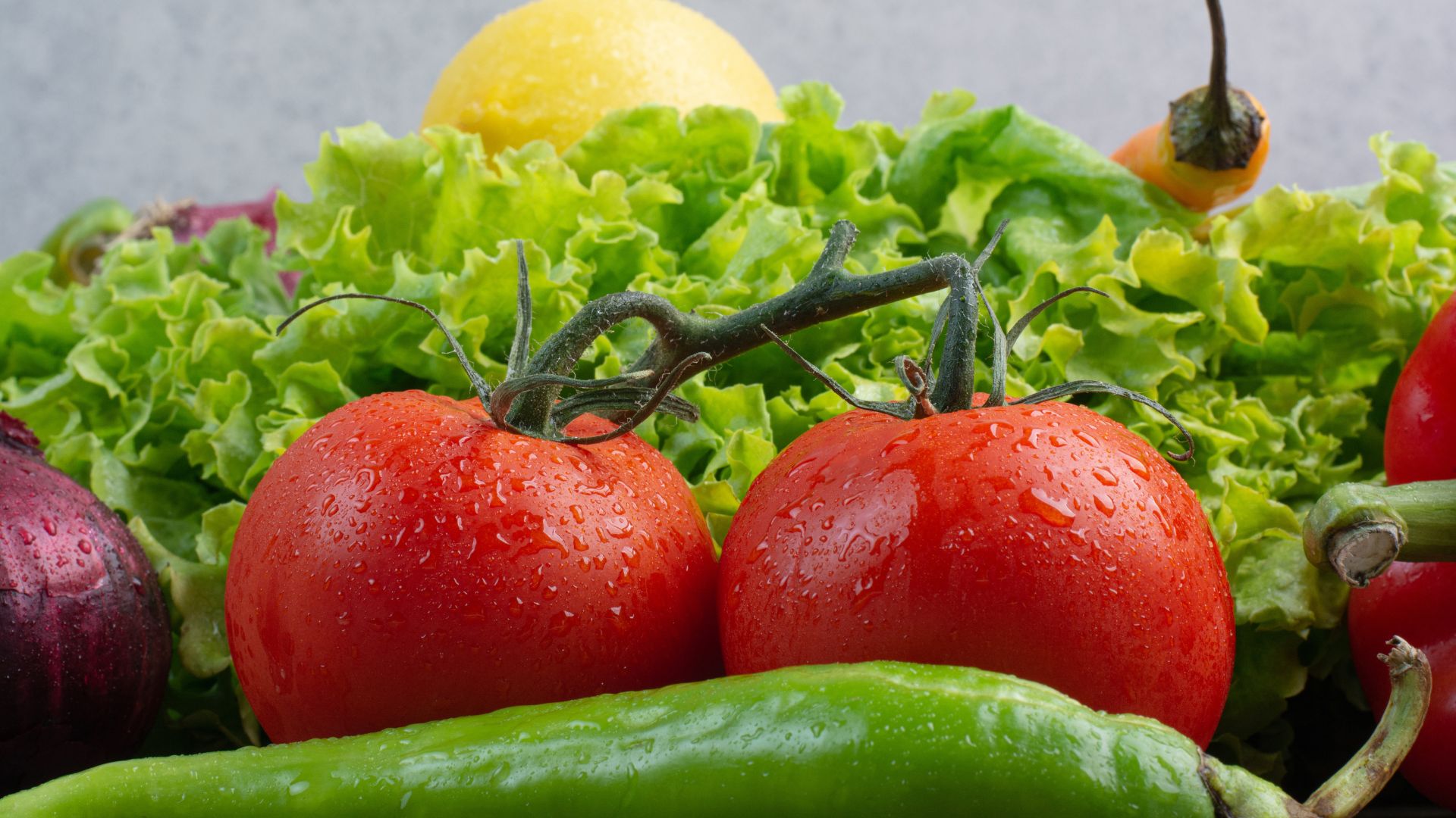 أسعار الخضار والفواكه في السوق المركزي الاربعاء