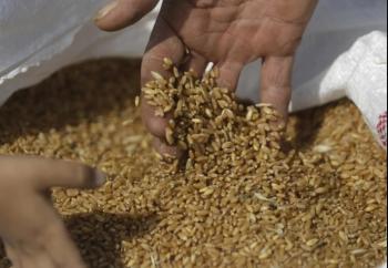 البنك الدولي: أسعار الأغذية في الأردن ارتفعت بين 2.4 - 5.8%