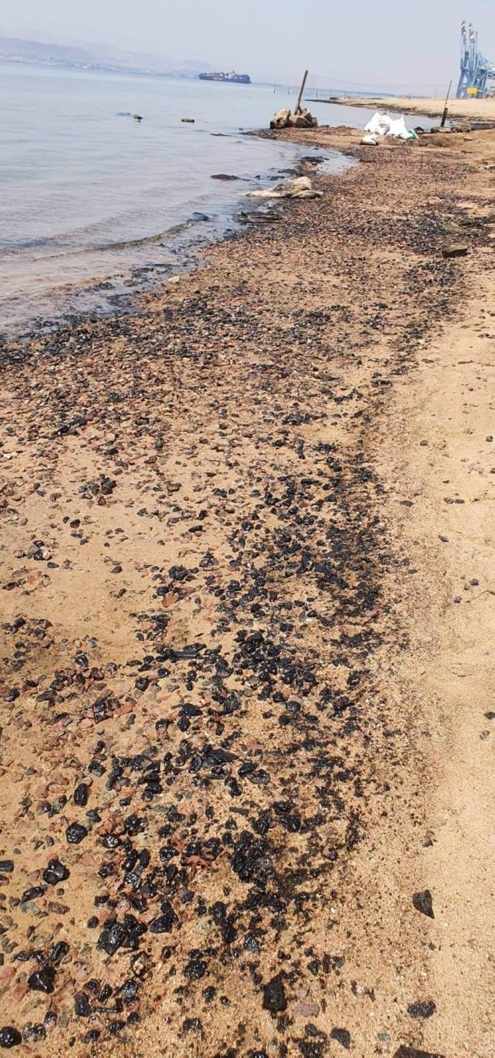 image.php?token=4bf73aabb86ed64dcef12ae998af9e64&size=xlarge