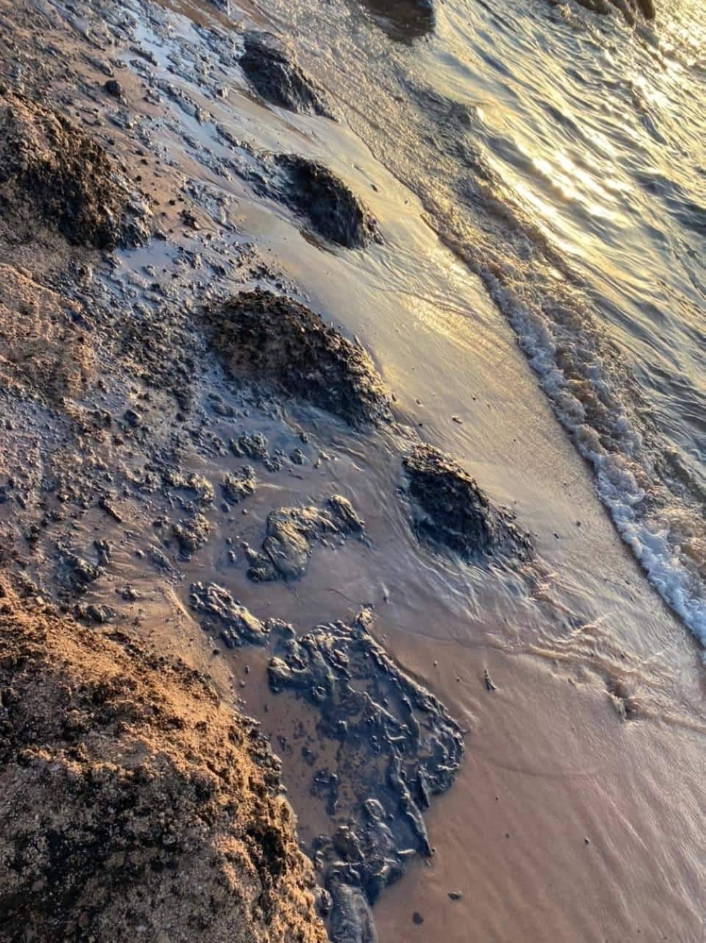 image.php?token=4c0d7a1f5d6e33cc715ab803cbaf4a3c&size=xlarge