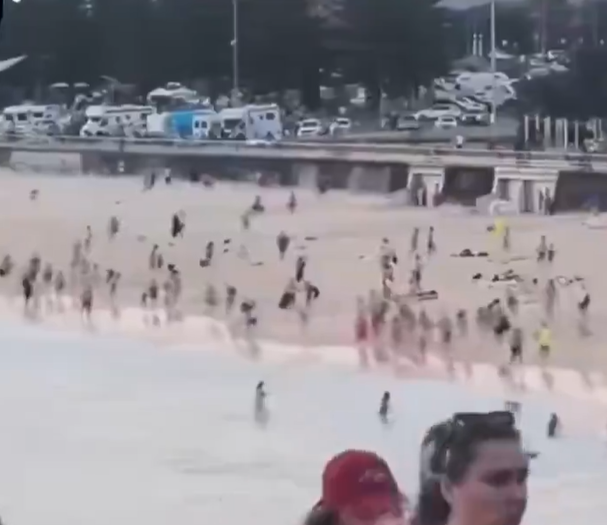 أستراليا: قنابل وأعلام تنظيم إرهابي داخل مركبة مسلحي حادثة الشاطئ 