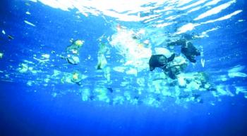 «أسماك روبوتية» تجمع دقائق البلاستيك بالمحيطات