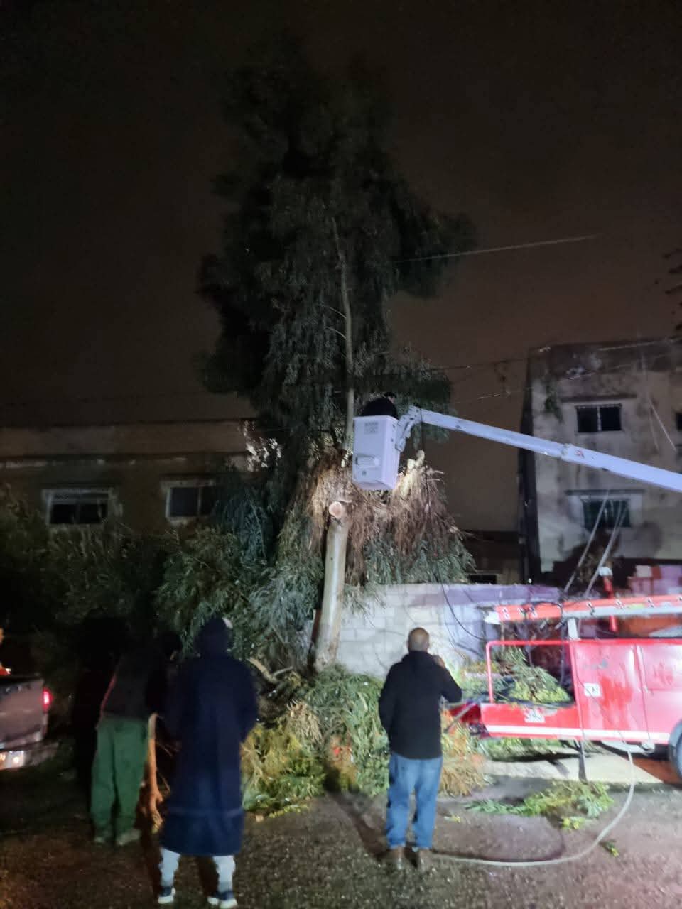 الزرقاء ..  سقوط شجرة يقطع التيار الكهربائي في السخنة 